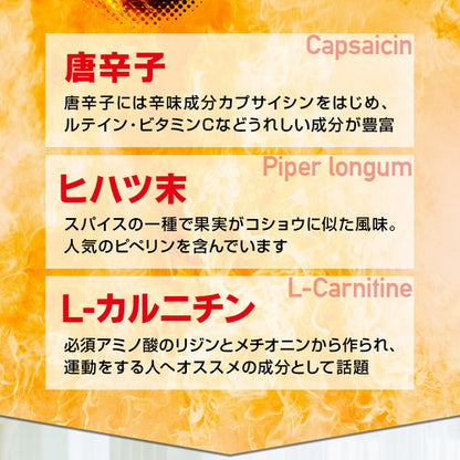 フォルスコリ お徳用 150粒　（#40）
