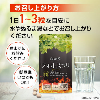 フォルスコリ お徳用 150粒　（#40）