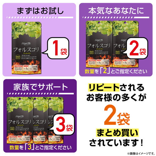 フォルスコリ お徳用 150粒　（#40）