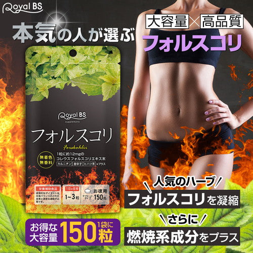 フォルスコリ お徳用 150粒　（#40）