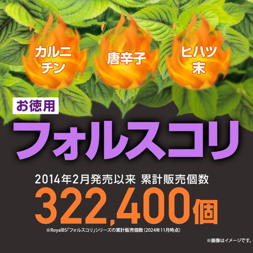 フォルスコリ お徳用 150粒　（#40）