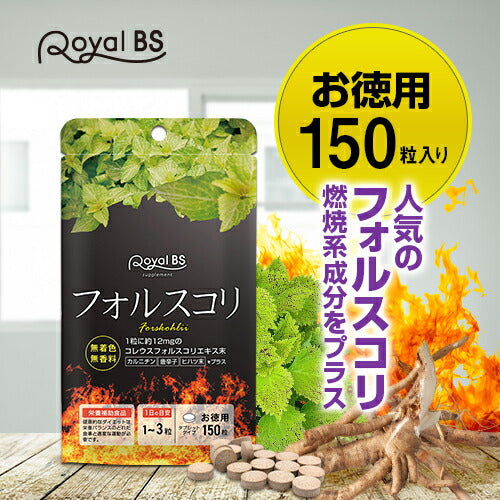 フォルスコリ お徳用 150粒　（#40）