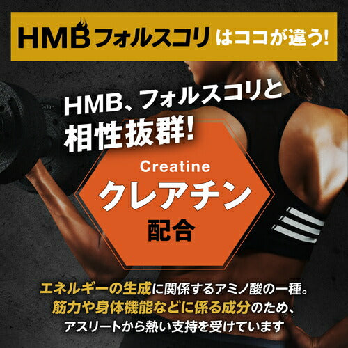 HMB フォルスコリ 150粒　（#40）