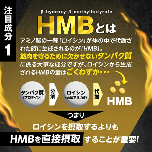 HMB フォルスコリ 150粒　（#40）