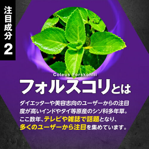 HMB フォルスコリ 150粒　（#40）