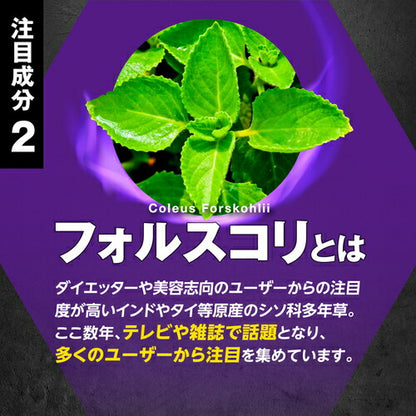 HMB フォルスコリ 150粒　（#40）