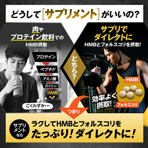 HMB フォルスコリ 150粒　（#40）