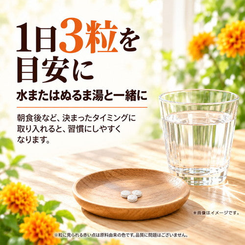 ルテイン 270粒　（#40）