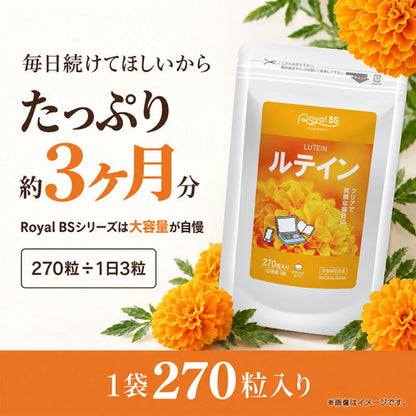 ルテイン 270粒　（#40）