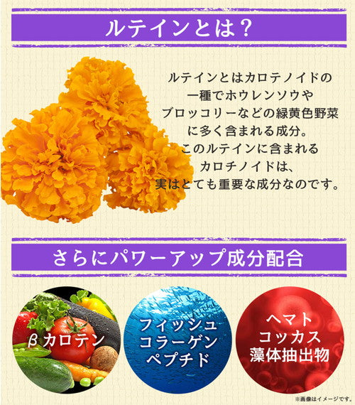 ルテイン 270粒　（#40）