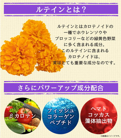 ルテイン 270粒　（#40）