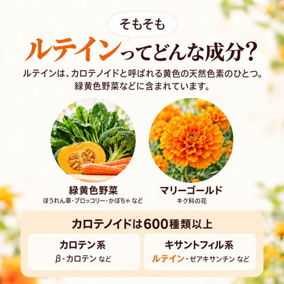 ルテイン 270粒　（#40）
