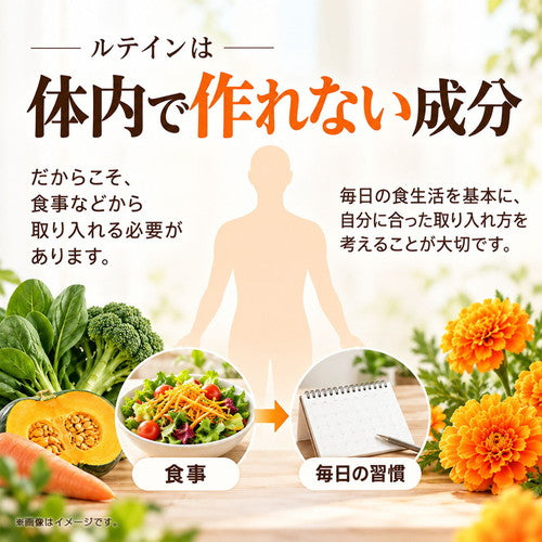 ルテイン 270粒　（#40）