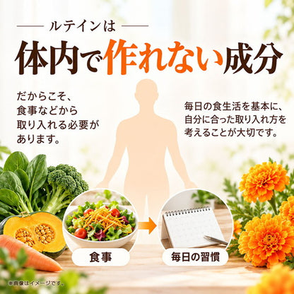 ルテイン 270粒　（#40）