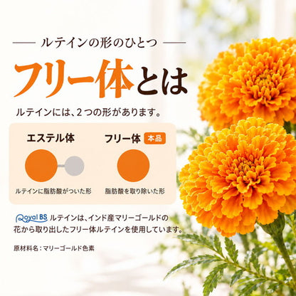 ルテイン 270粒　（#40）