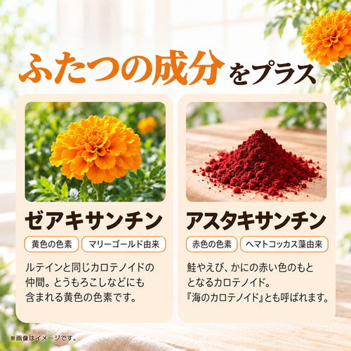 ルテイン 270粒　（#40）