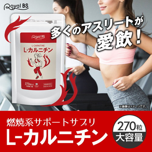 L-カルニチン 270粒　（#30）