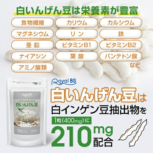 白いんげん豆 180粒　（#30）