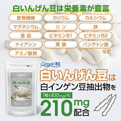 白いんげん豆 180粒　（#30）