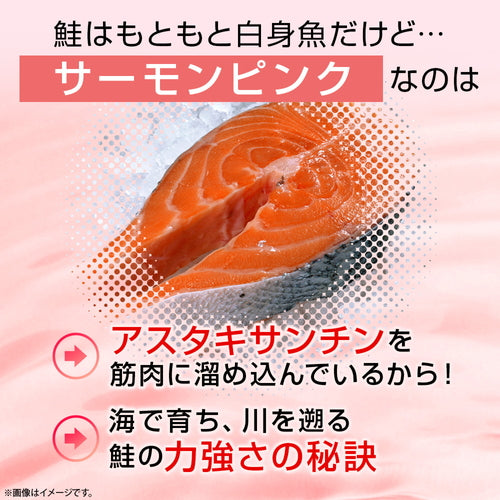 アスタキサンチン＆ビタミンE 180粒　（#40）