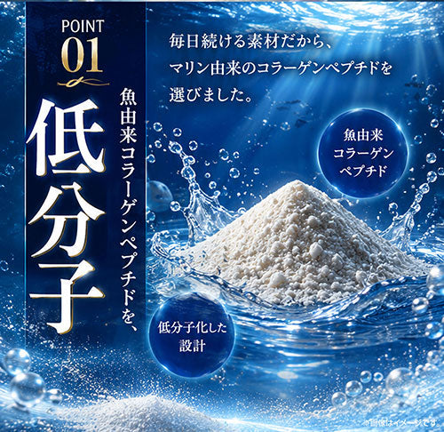 低分子マリンコラーゲン＆コンドロイチン 180粒 （#30） – Royal BS