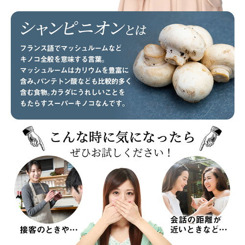 シャンピニオンスプラッシュ 180粒　（#40）