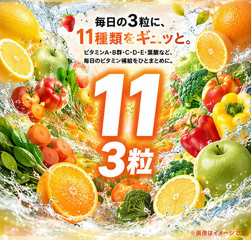 マルチビタミン 270粒　（#30）