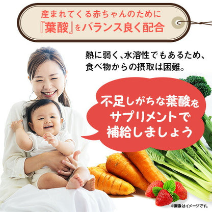 ビタミンB群+葉酸 270粒　（#30）