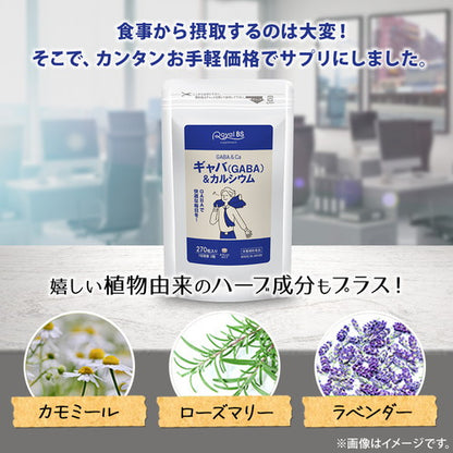 ギャバ(GABA)＆カルシウム 270粒　（#30）