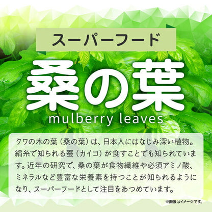 桑の葉粒 270粒　（#30）