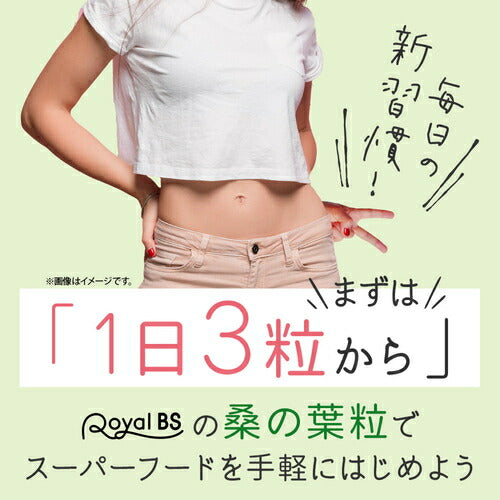 桑の葉粒 270粒　（#30）