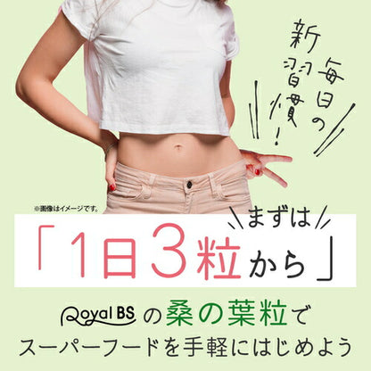 桑の葉粒 270粒　（#30）