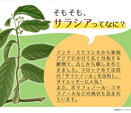 サラシアエキス 270粒　（#40）