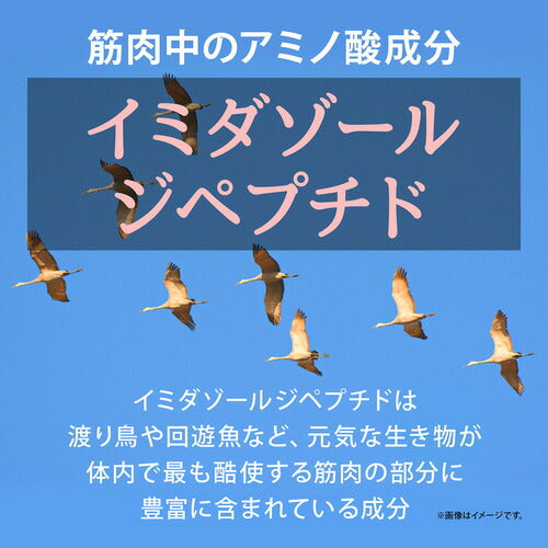 イミダゾールジペプチド180 180粒　（#40）
