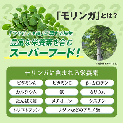 毎日モリンガ粒 270粒　（#30）