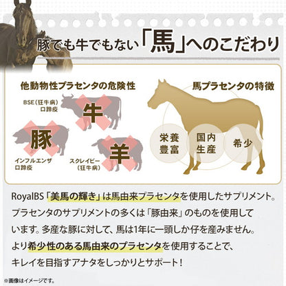 美馬の輝き　（#40）