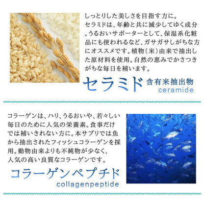 プロテオグリカン 90粒　（#30）
