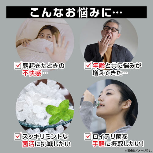 ロイテリ菌 180粒　（#40）