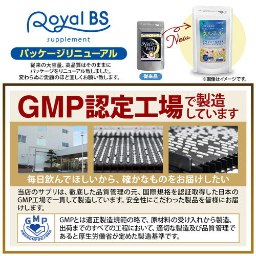 Nell Well ネルエル 180粒　（#30）