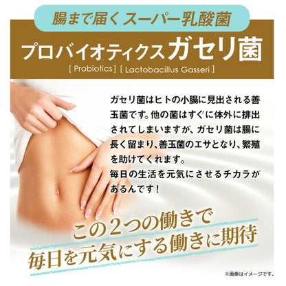 ガセリ菌エクオール 90粒　（#40）