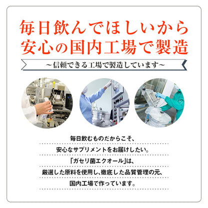 ガセリ菌エクオール 90粒　（#40）