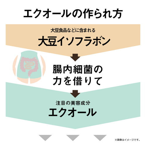 ガセリ菌エクオール 90粒　（#40）