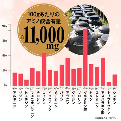 極・すっぽん黒酢粒 90粒　（#30）