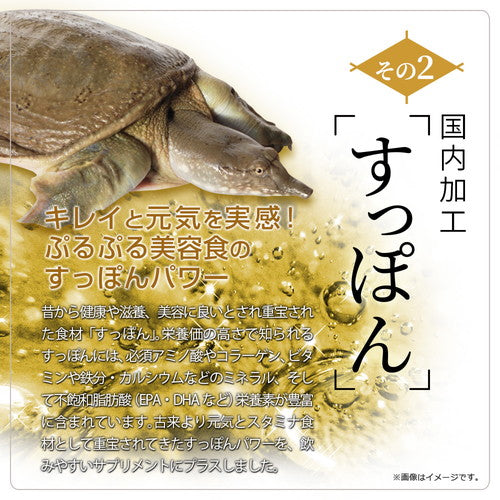 極・すっぽん黒酢粒 90粒　（#30）