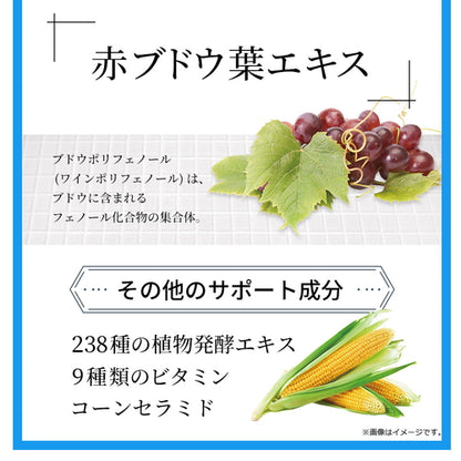 カリウム習慣 300粒　（#40）
