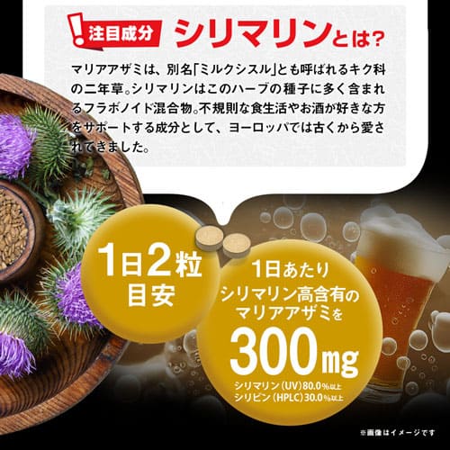 大肝神 だいかんじん 60粒　（#40）