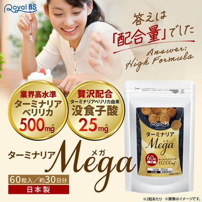 ターミナリアMEGA 60粒（#30）