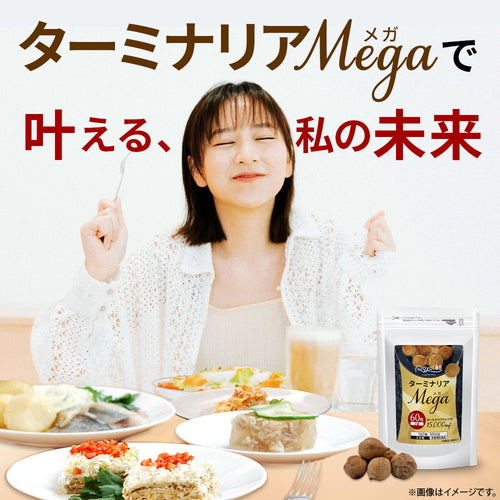 ターミナリアMEGA 60粒（#30）