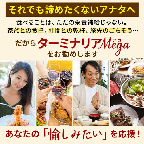 ターミナリアMEGA 60粒（#30）