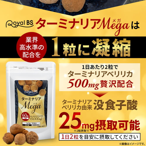 ターミナリアMEGA 60粒（#30）